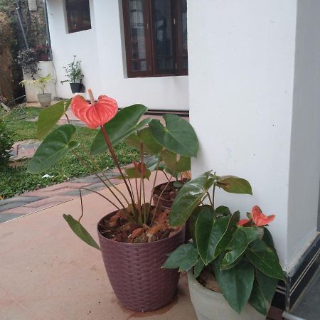 Holly House Homestay Ella Ngoại thất bức ảnh